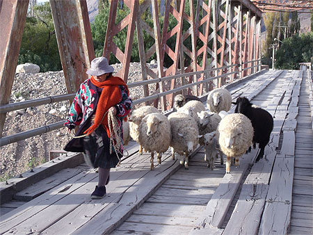 Le pont Le pont