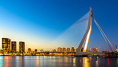 Rotterdam, en route pour un trip urbain