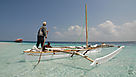 Zanzibar, l'&icirc;le aux &eacute;pices