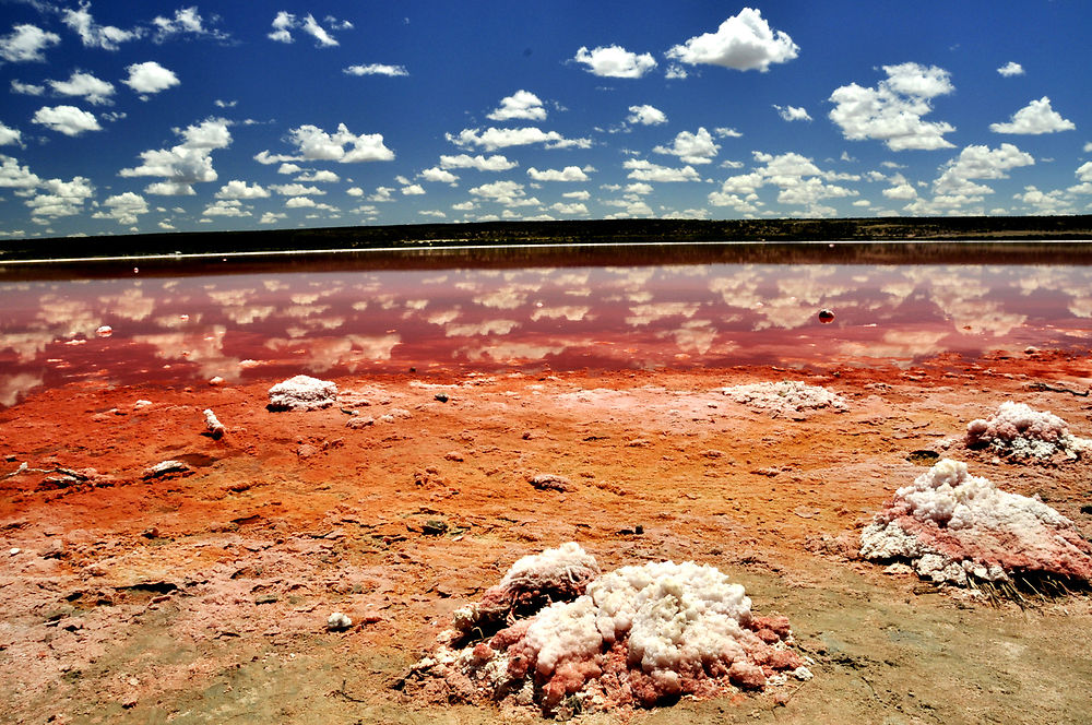 Pink Lake