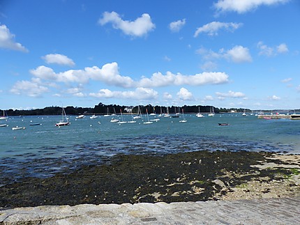 Île Tudy