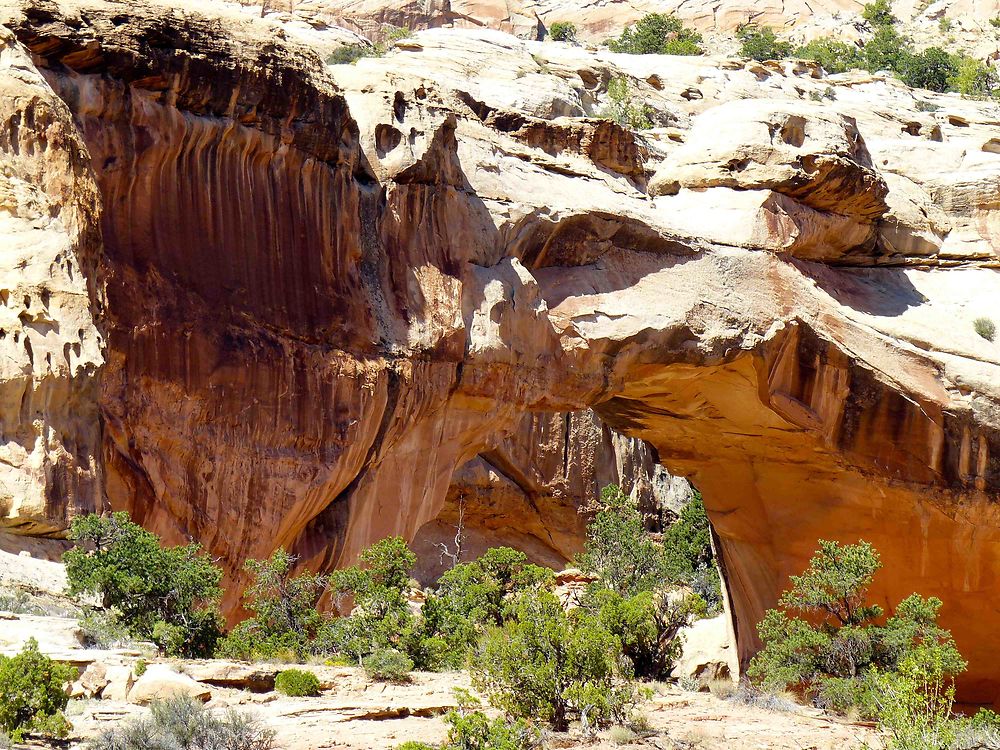 Hickman Natural Bridge