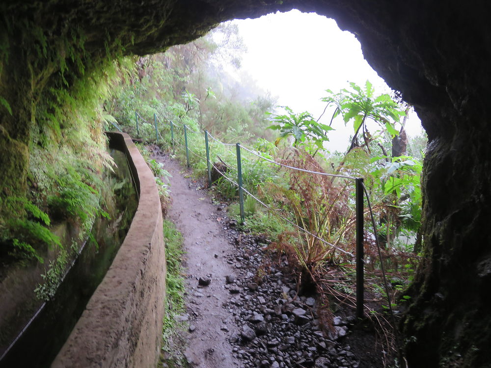 Vue à la sortie d'un tunnel de la Caldeirao Verde 