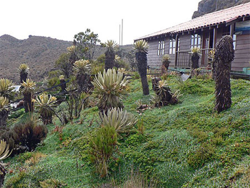 Parque Los nevados