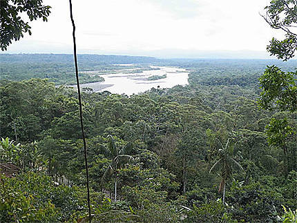 Rivière amazonienne