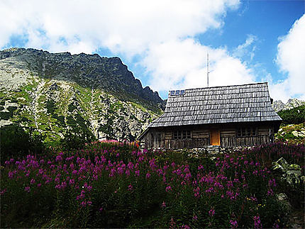 Chatka à Zakopane