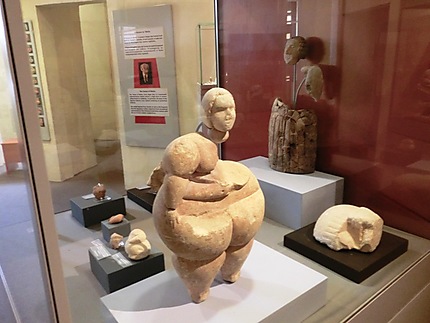 Musée de l'archéologie