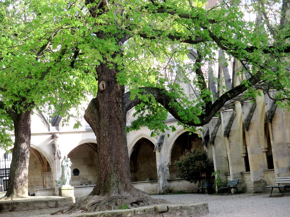 Le cloitre de l'église Saint Séverin