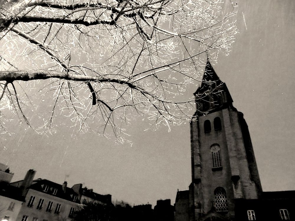 Le jour se lève à Saint Germain des Prés.