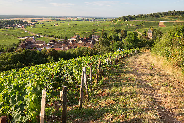 GR® de Pays des Grands Crus de Bourgogne (Côte-d’Or)