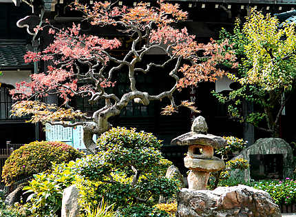 Jardin japonais à Tokyo
