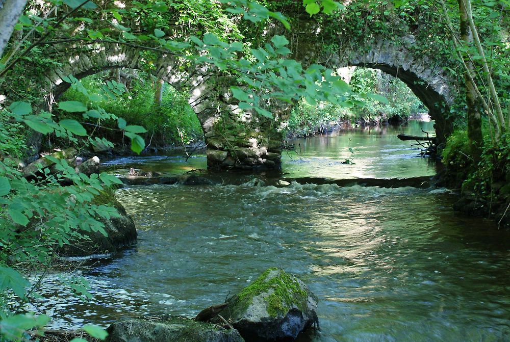 Aqueduc en forêt