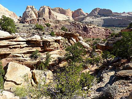 Capitol Reef National Park - Paysages