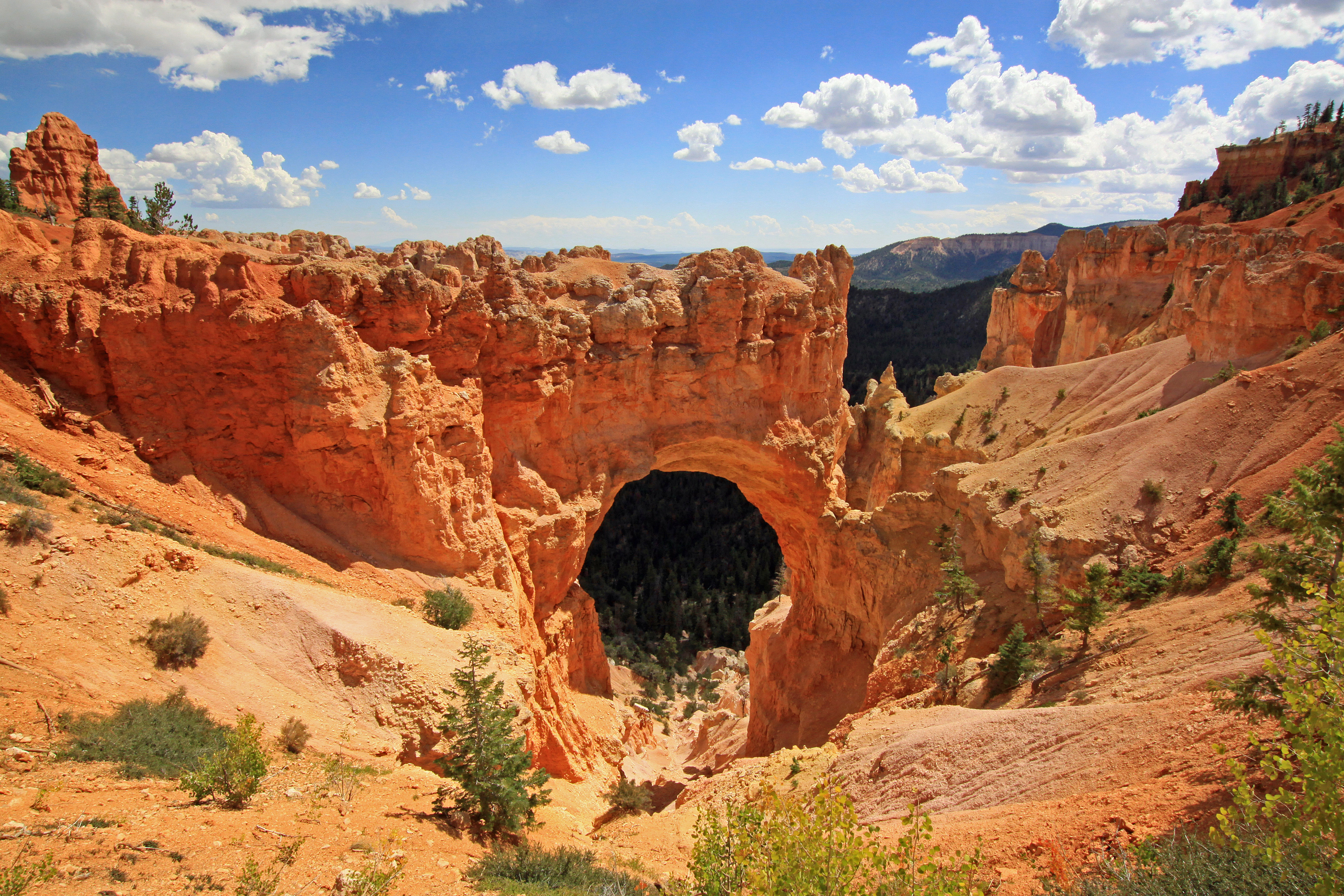 Natural Bridge Natural Bridge