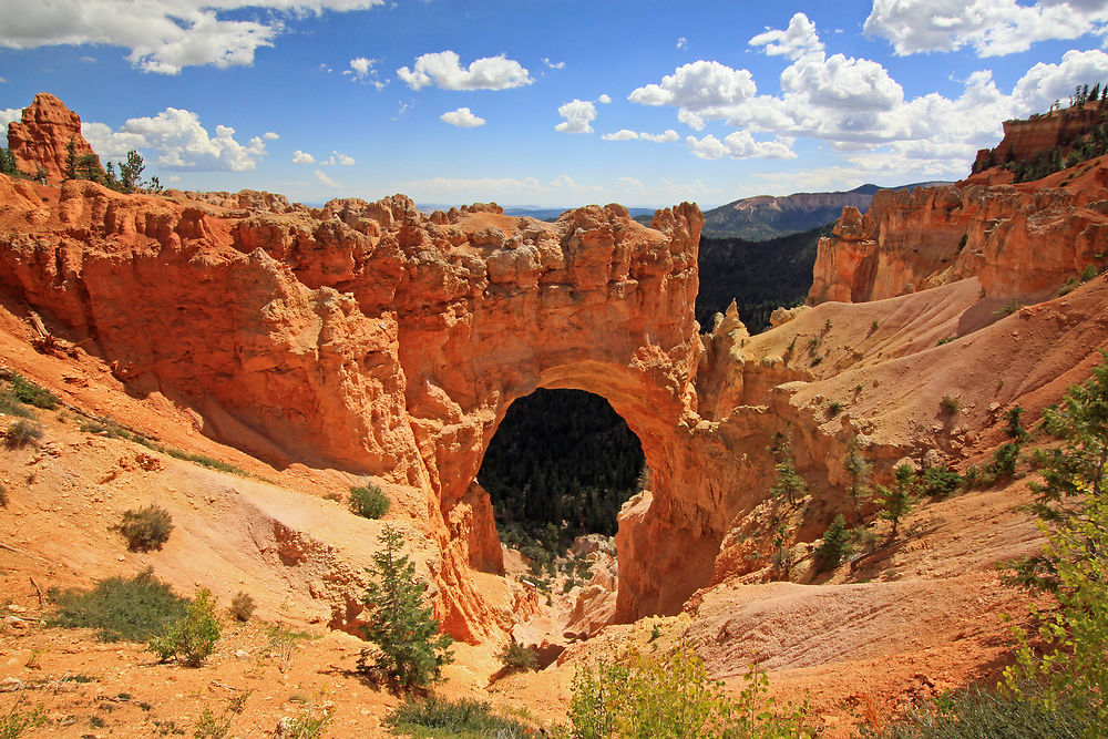 Natural Bridge