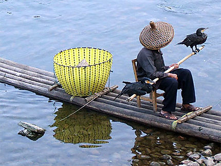 Pêcheur au cormoran à Yangshuo