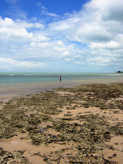 The little boy and the sea The little boy and the sea