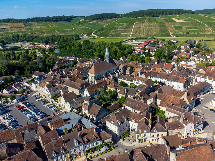 GR® de Pays Vins et fromages, Chaource (Yonne, Aube)