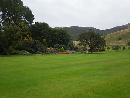 Jardin Abbey Holyrood