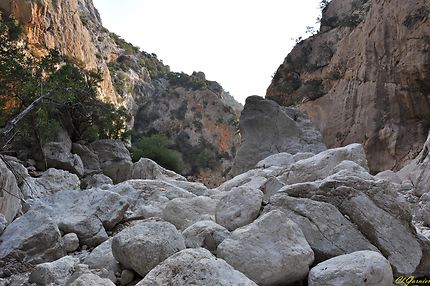 Canyon Gorropu - Col de Genna Silana