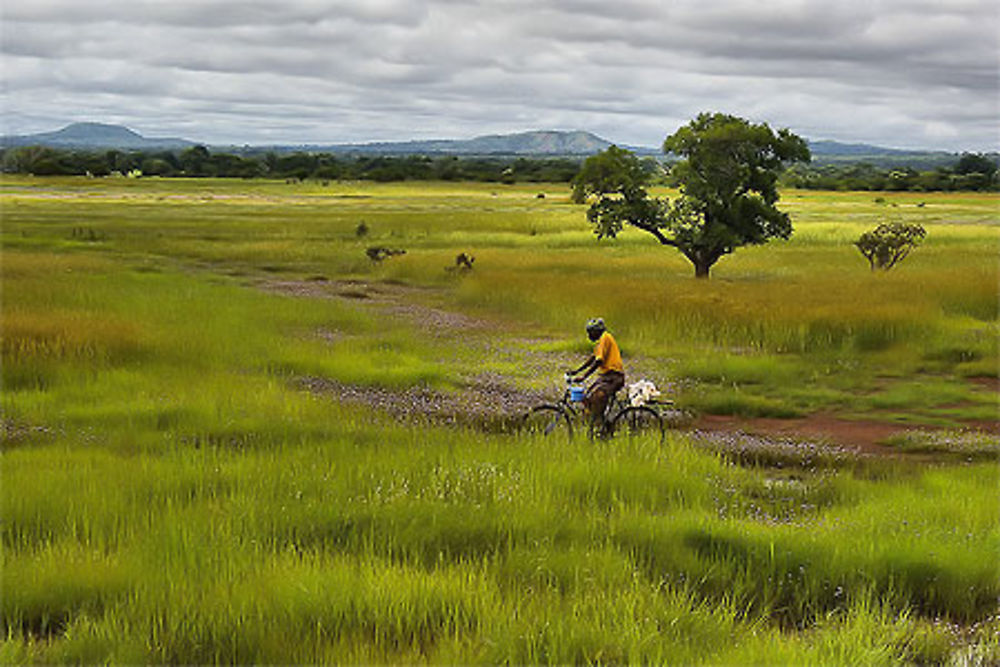 En vélo, en brousse