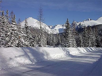 Montagne des Hautes Tatras l'hiver