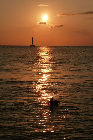 Coucher de soleil à Sunset Pier : Coucher de soleil : Key West : Les