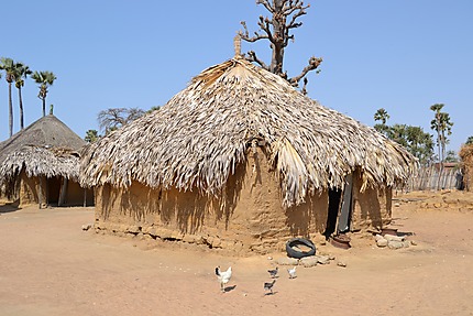 Case d'un village sérère dans le Sine-Saloum