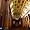 Orgues gigantesques de la cathédrale de Rennes