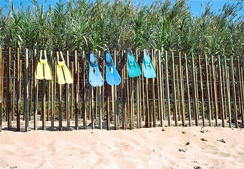 Plage de l'oliveraie