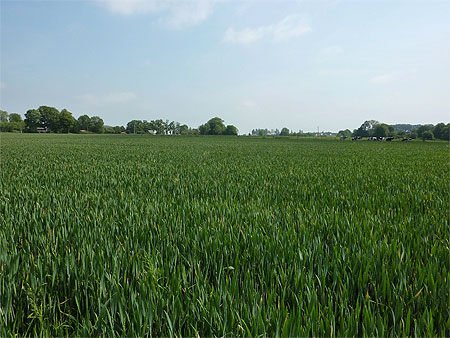 Campagne normande Campagne normande