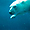 Ours polaire nageant sous l'eau