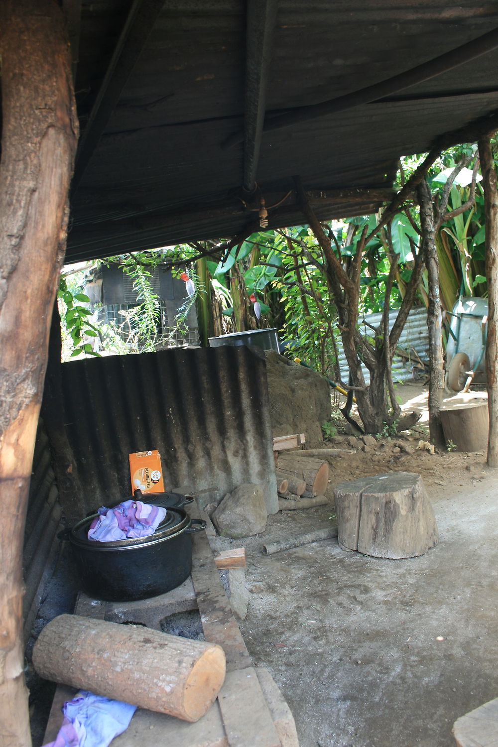 Cuisine au feu de bois