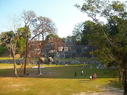Dans le parc de Tikal