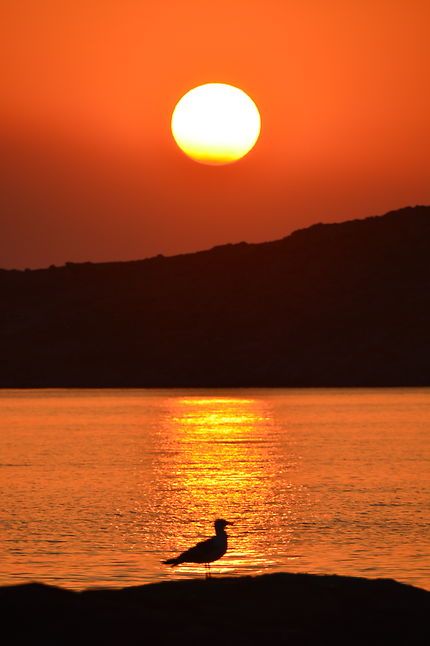 Couché de soleil sur l'ile de Naxos