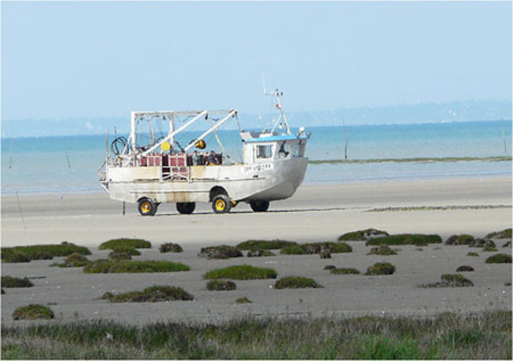 Bateau à roues !