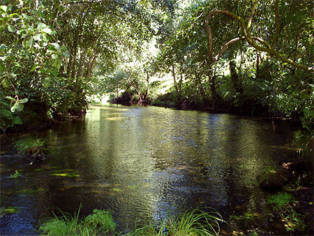 Rivière Coura - Rubiães - Paredes de Coura Rivière Coura - Rubiães - Paredes de Coura