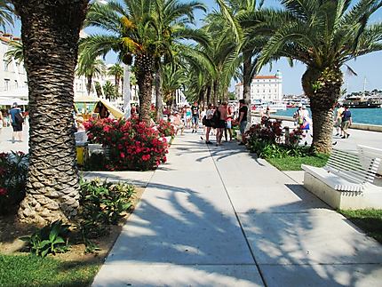 Quartier moderne et touristique de Split