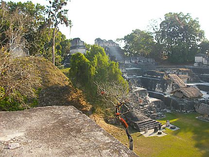 Site de Tikal