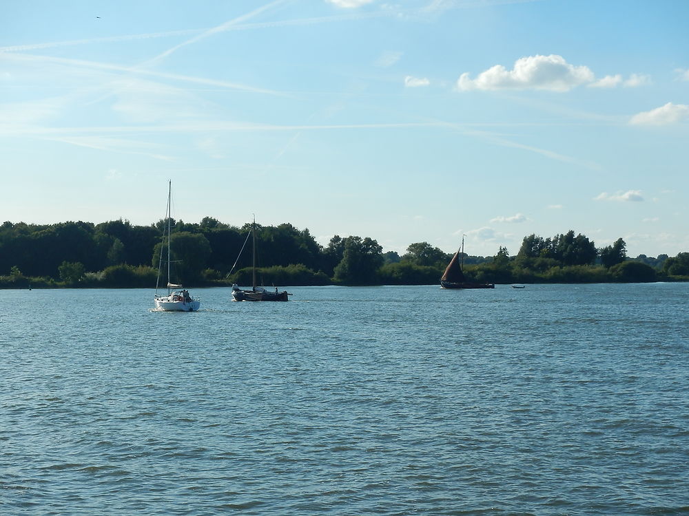 Traversée de la Markermeer au départ d'Enkhuizen