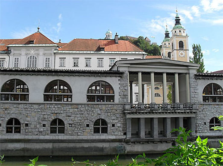 Glavna Tržnica (Marché central de Ljubljana) - Gulwenn Torrebenn