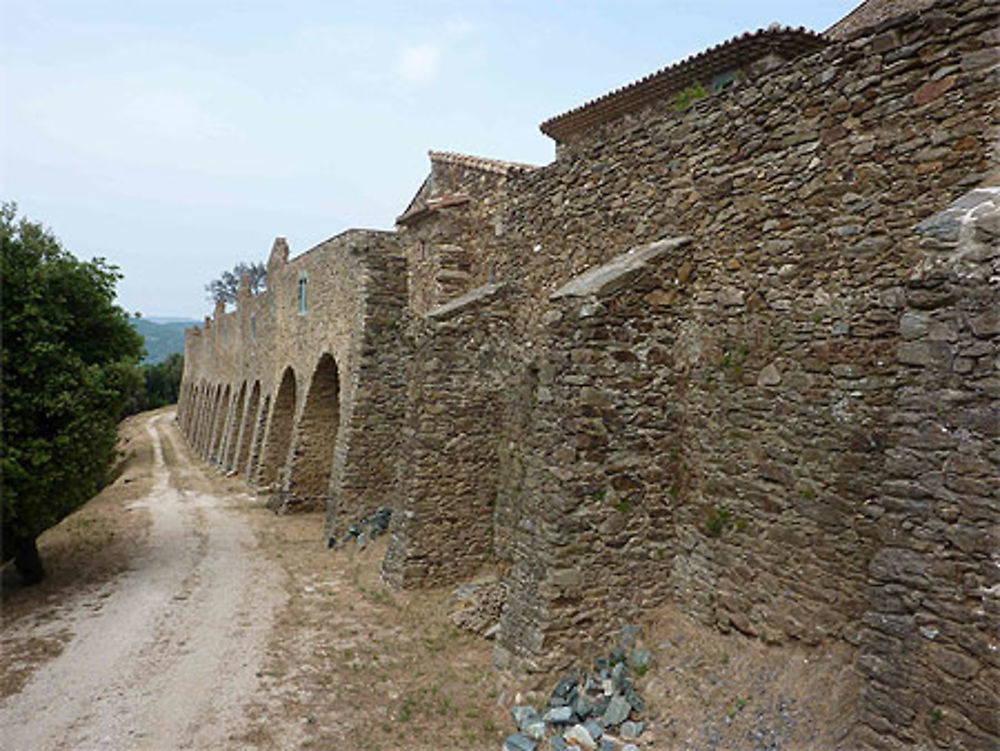 Côté de la chartreuse