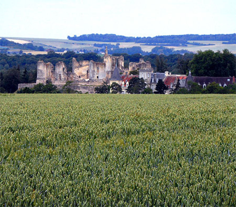 Chateau de Fère