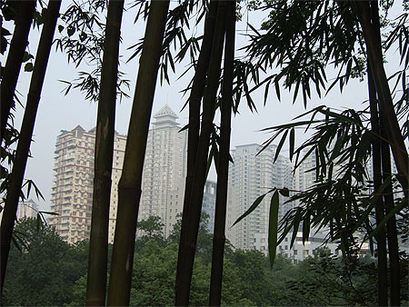 Chongqing Chongqing
