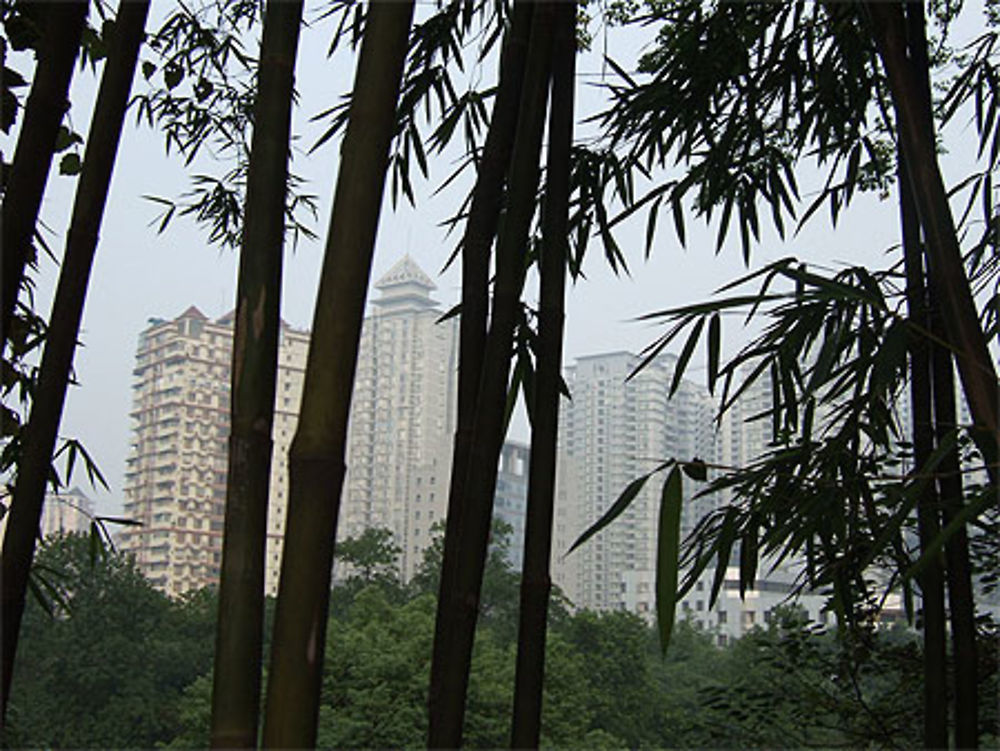 Chongqing