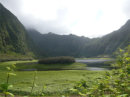 Grand-Etang Grand-Etang