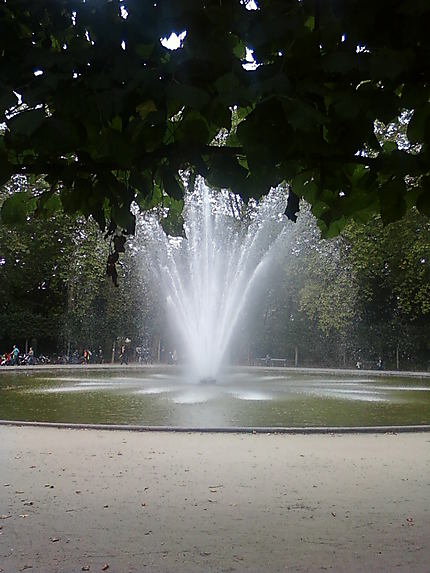 Un oeil discret sur le Parc de Bruxelles