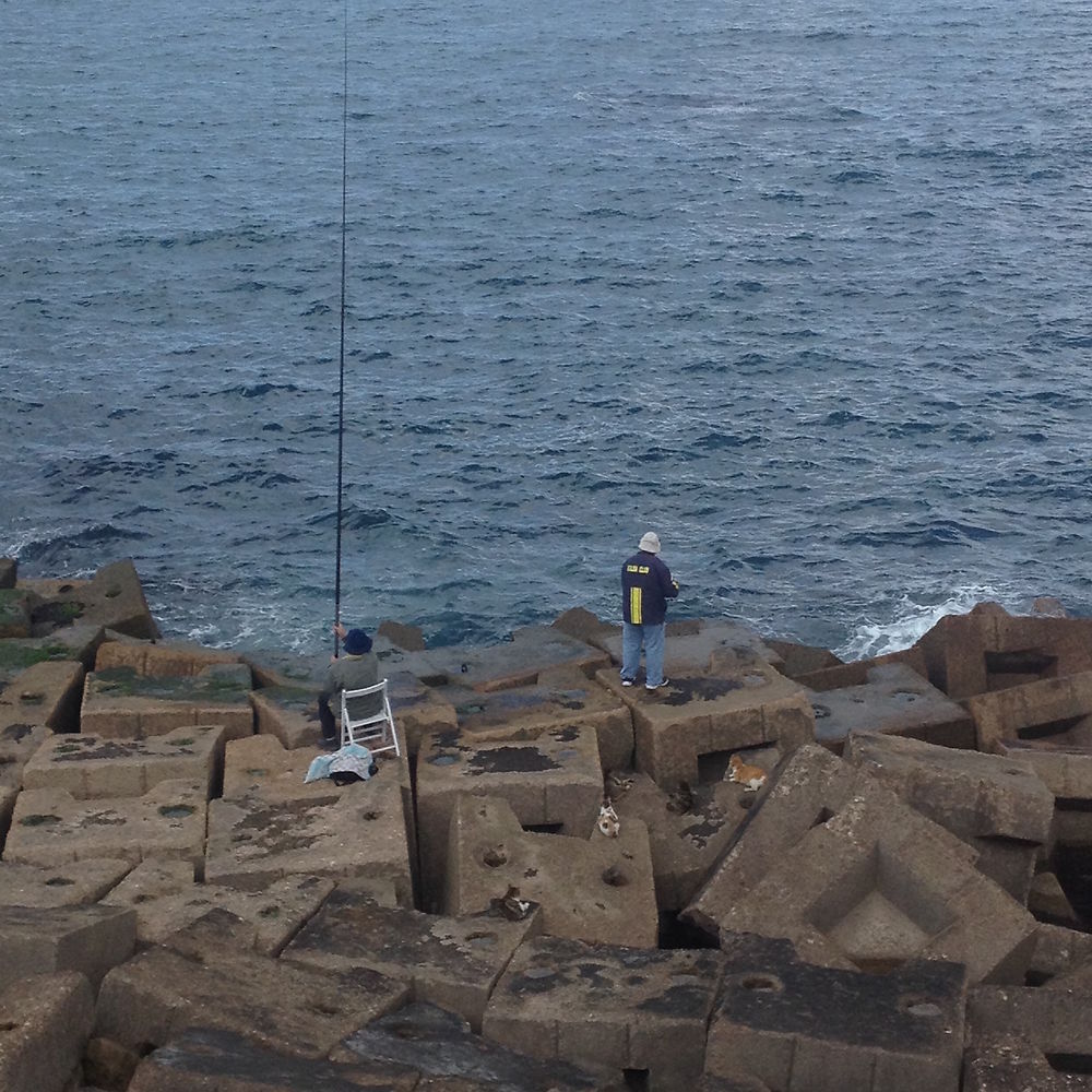 Des pêcheurs et des chats 