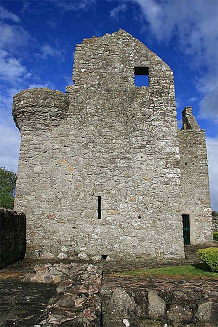 Tully Castle (Province d'Ulster)