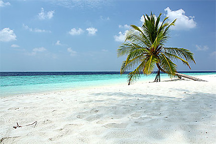 C'est Les Maldives